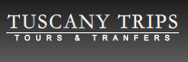 taxi and trips - cauffer services - bus and car rentals with cauffer